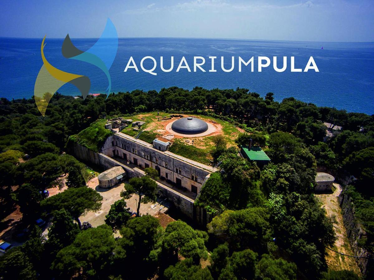 Arena Sunset, Sea Coloseum View, 2 Free Parking Apartman Pula